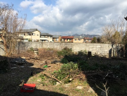 岐阜市の庭木伐採