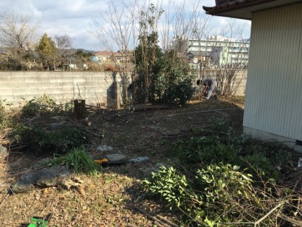 岐阜市の庭木伐採