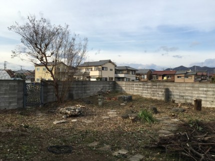 岐阜市の庭木伐採