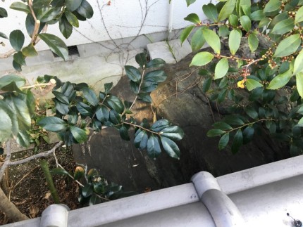 庭石の撤去処分|名古屋市名東区