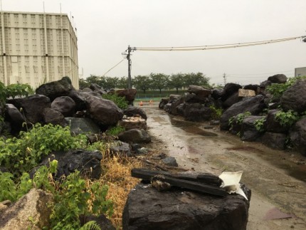 愛西市の庭石撤去お見積り